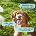 Een blije bruine hond in het gras, met tekstballonnen die zeggen: 'Bevordert een glanzende vacht', 'Helpt tegen schilfers' en 'Helpt bij haaruitval en doffe vacht'.