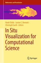 Mathematics and Visualization- In Situ Visualization for Computational Science