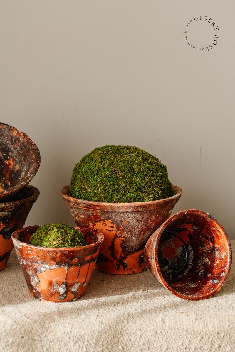 Bal Mos Asia Ø15cm 2 stuks - Groendecoratie - Mosballen - Mos ballen