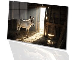 Foto: 