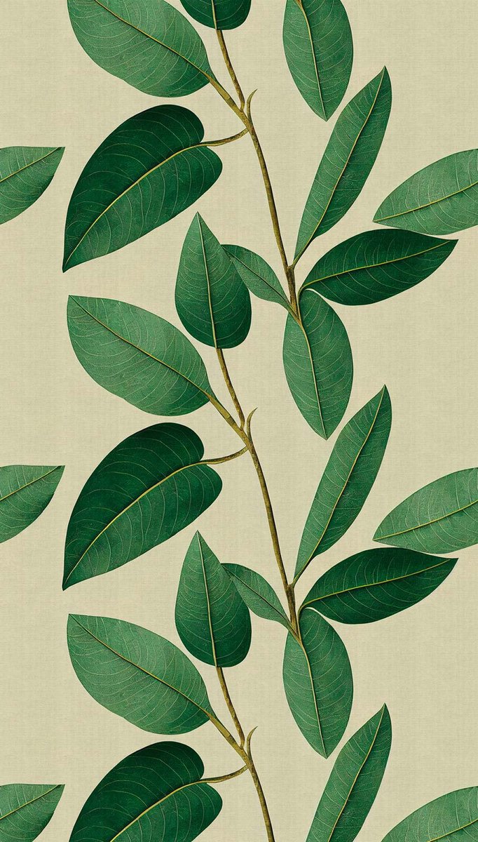 Bladeren-behang botanisch, vliesbehang groen bladeren, bijzondere behang voor woonkamer 398661, botanisch-behang modern 39866-1, BRICOFLOR.nl