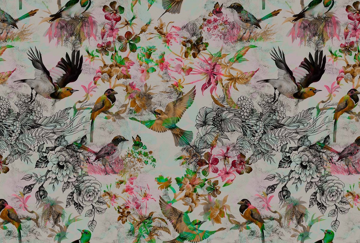 Walls by patel funky birds