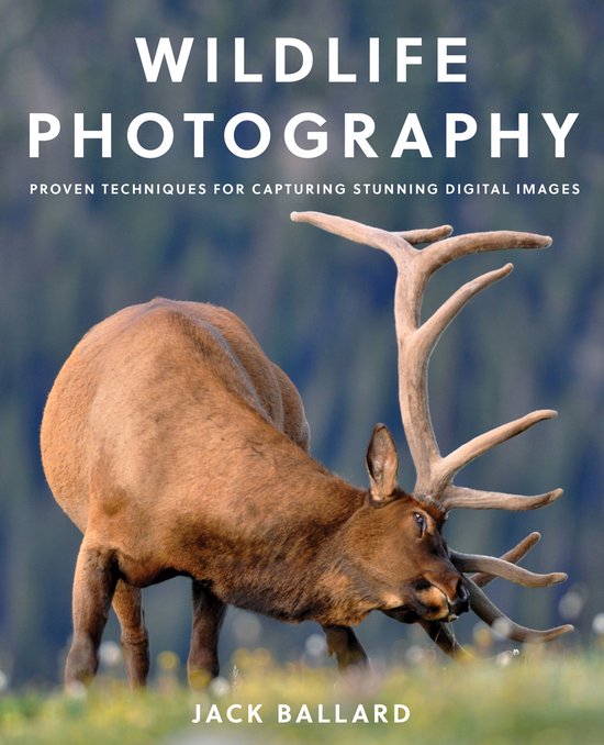 Wildlife Photography - cover