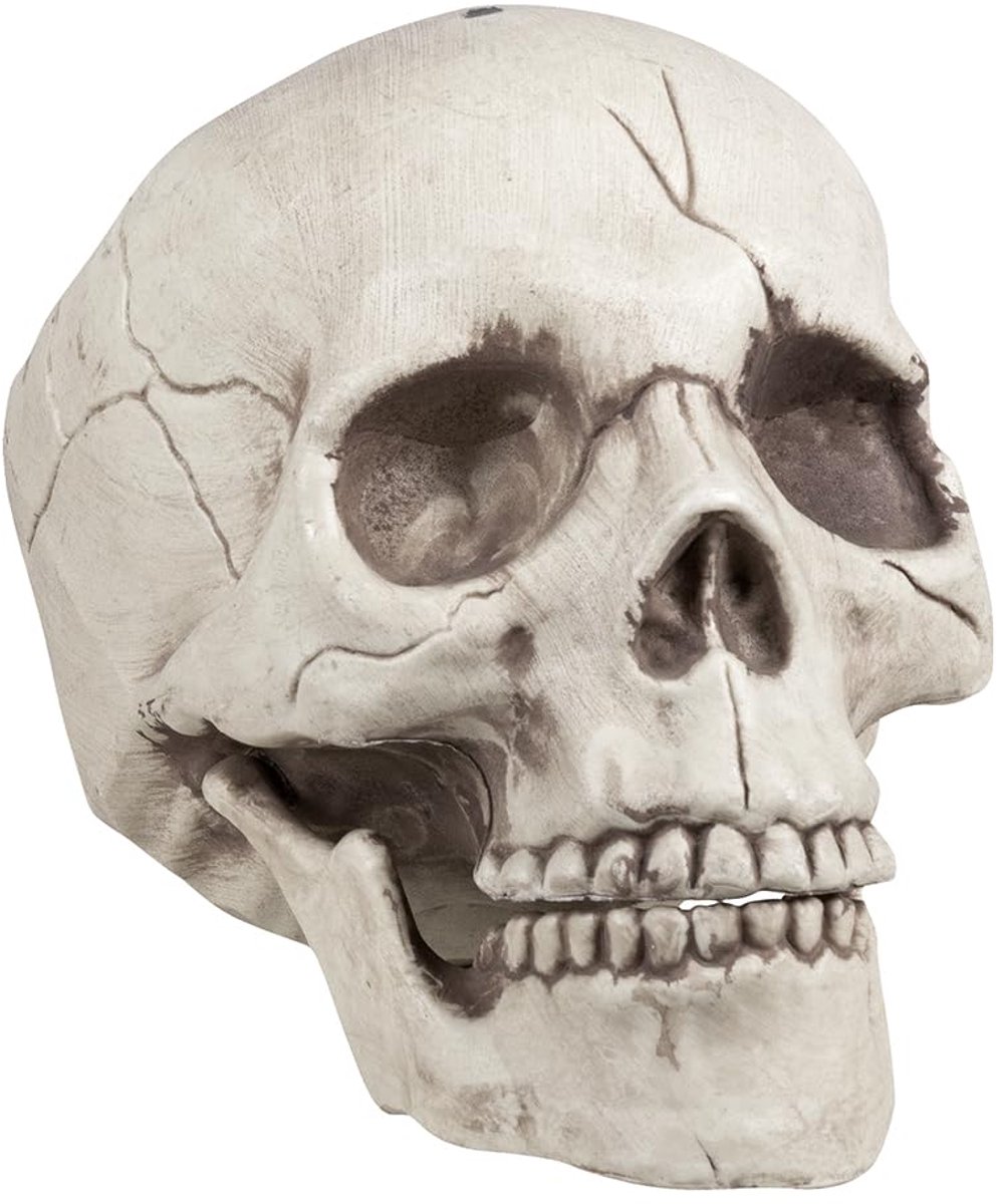 Ibenzoa® Decoratieve Schedel met Beweegbare Kaak voor Halloween en Feestdecoratie