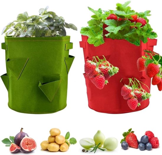 6-Pack Aardbeienplanten Aanbieding bij ALDI