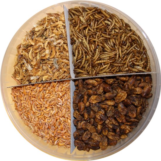 Foto: Dennerle shrimp king complete