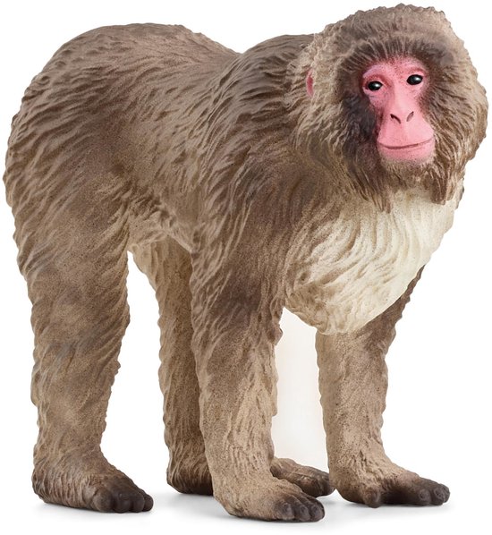 schleich WILD LIFE - Japanse makaak - 14871