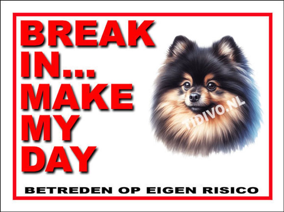Dwergkeeshond 1