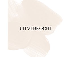 Waszakken - Set Van 4 Waszakken Voor Wasgoed - Wasnetten - Travel Organizer - Wasgoed - Waszakje Lingerie - Waszak bh - Wasnet Groot - Wasnet 4 STUKS