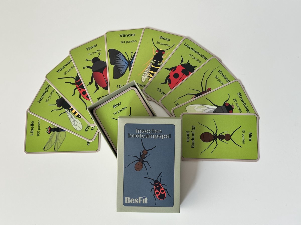 Bootcamp insectenspel - Beweegspellen - Bootcamp - Bootcampspel