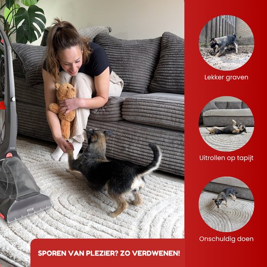Vrouw en puppy op een vloerkleed met een tapijtreiniger, links en rechts voorbeelden van vlekken.