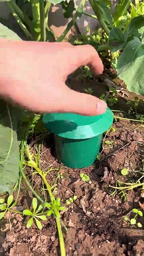 Handleiding PestiNext slakkenzak slakkenval - Zeer effectief Handleiding PestiNext slakkenzak slakkenval - Zeer effectief