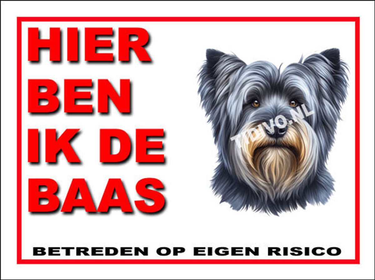 Skye Terrier 2