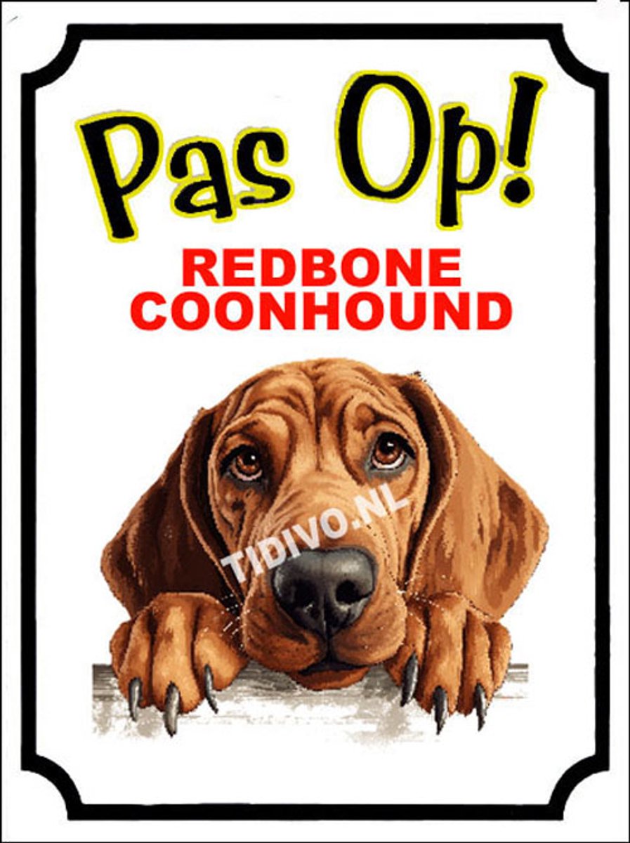 Redbone Coonhound 16