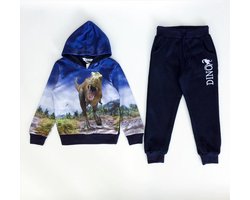 foto van Joggingpak stoere dino – Maat 104 – 65% Katoen