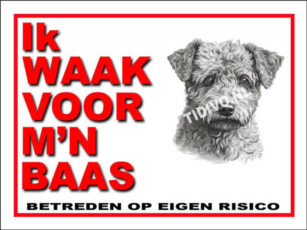 Pumi 9