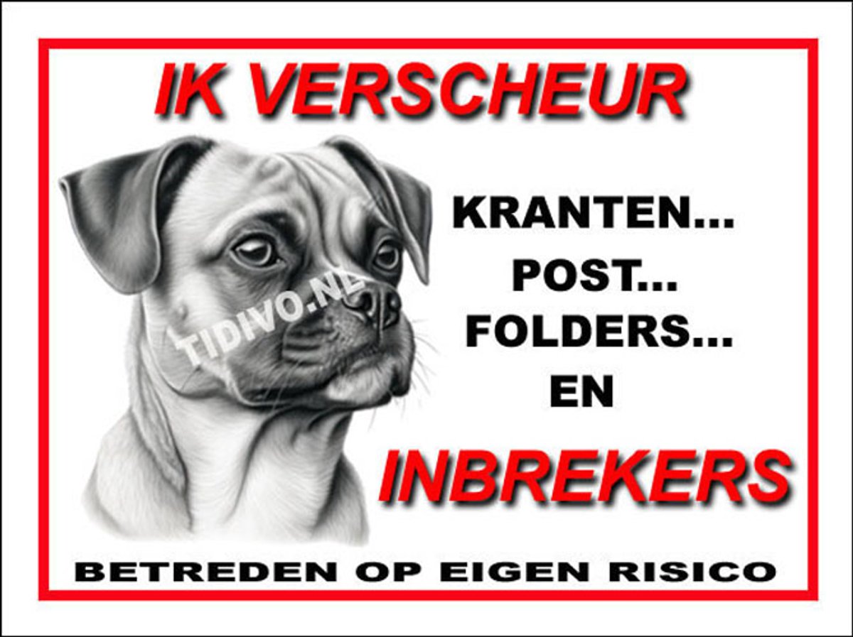 Puggle 8