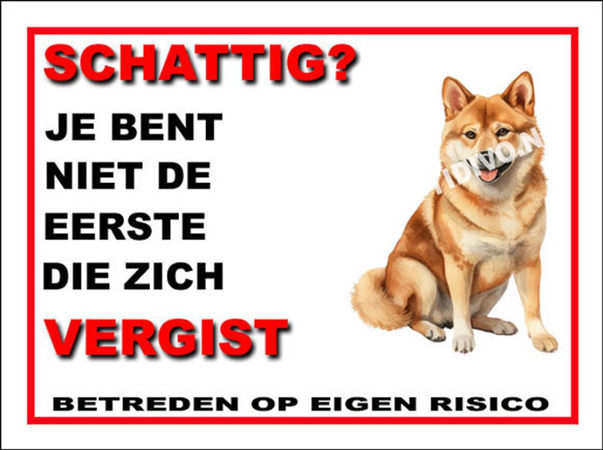 Shiba 14