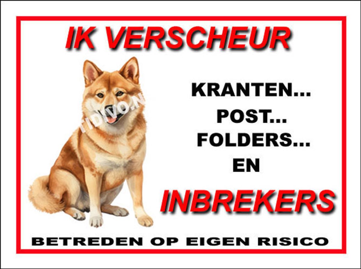 Shiba 8