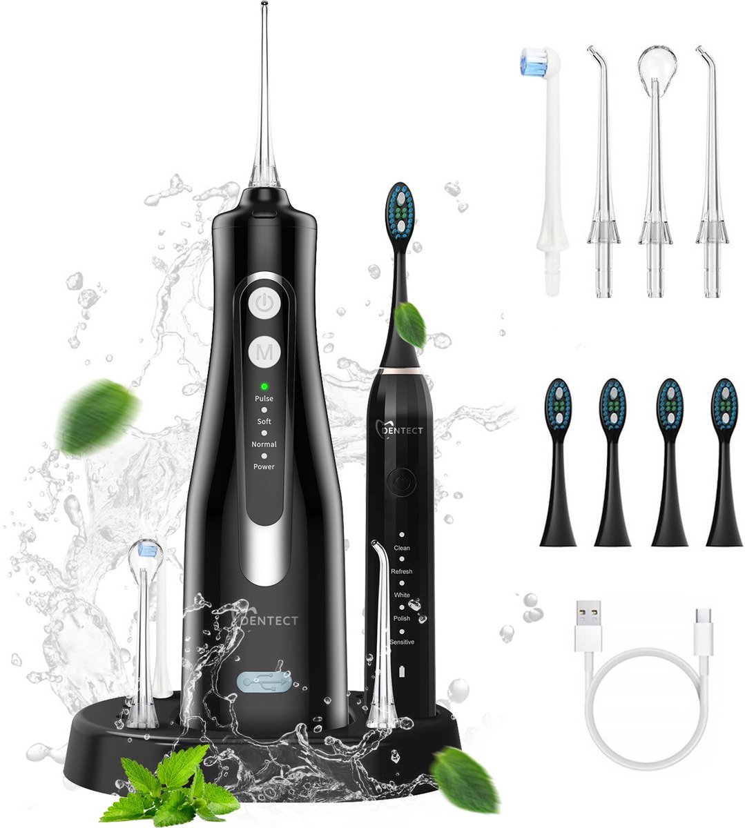 Dentect Waterflosser & Elektrische Tandenborstel – Monddouche & Sonische Tandenborstel - Tandsteen Verwijderaar - Neusdouche - 5 Poetsstanden – 4 Flosopzetstukken – 300ml Reservoir – Tandplak Verwijderen – Mond & Tandvlees Verzorgingsset