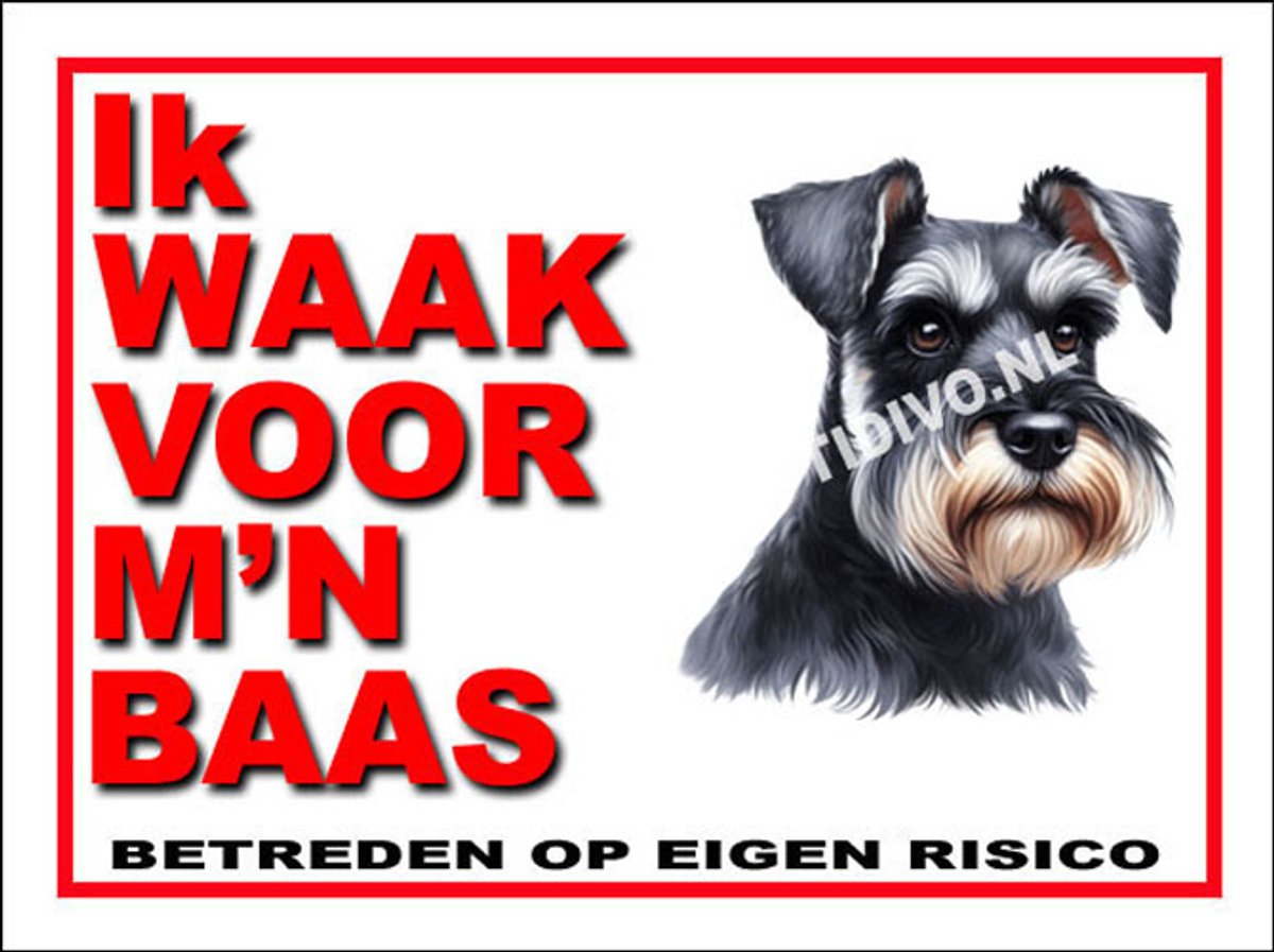 Schnauzer 9