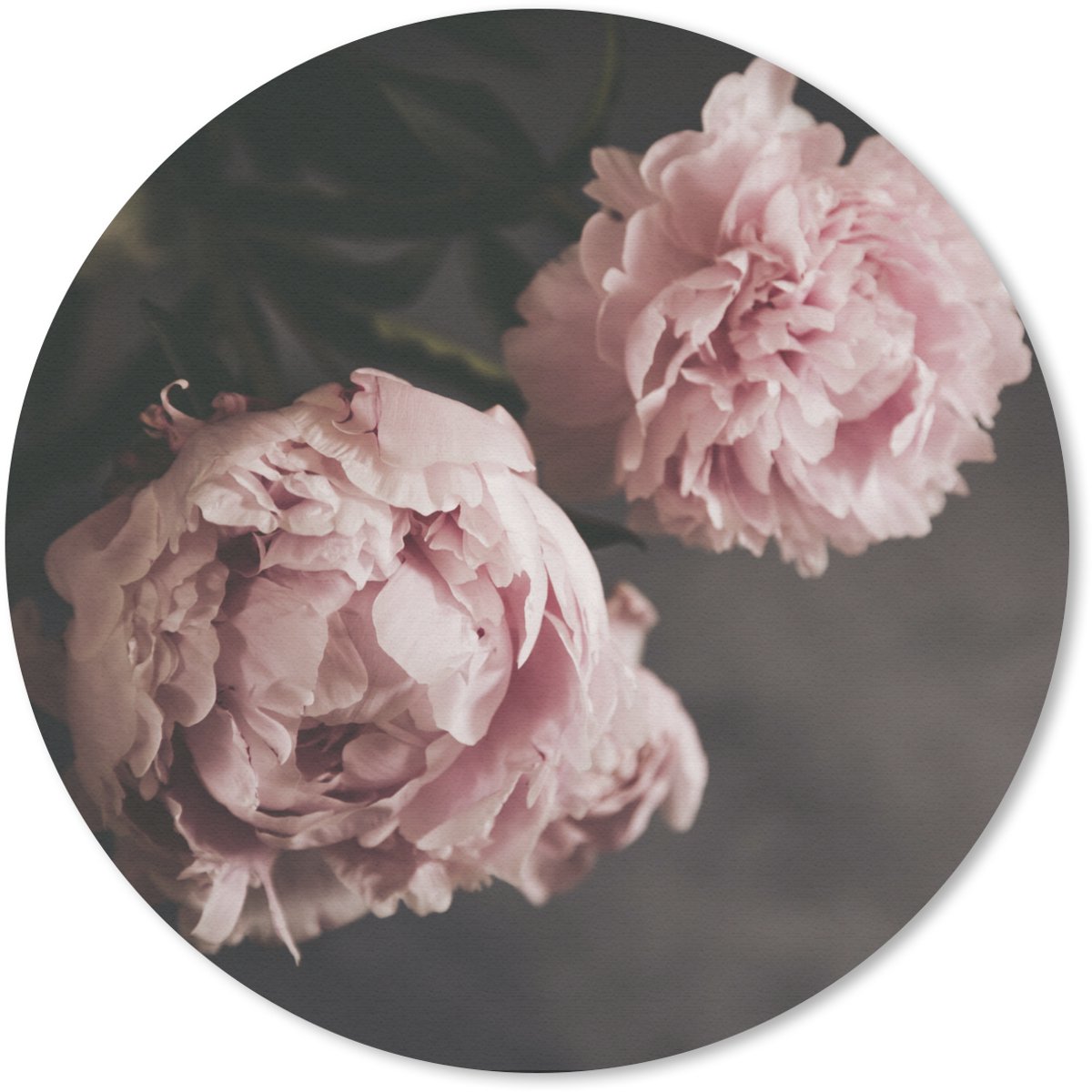 Muismat rond 30x30 cm - Mousepad Bloemen - Roze - Pioenroos - Stilleven - Ronde muismatten