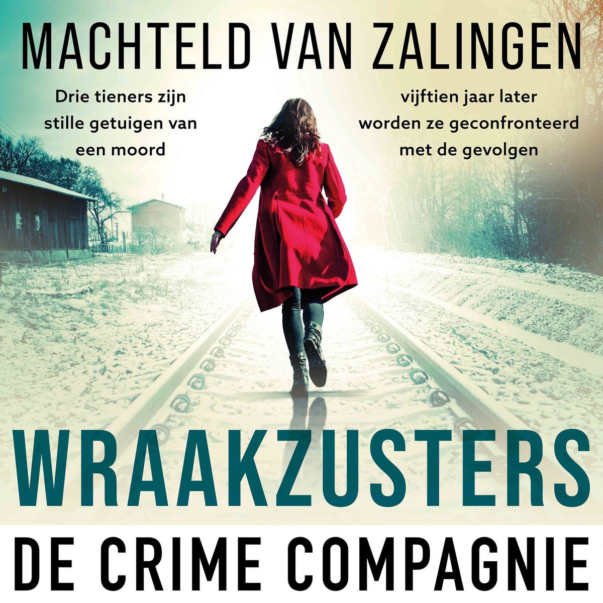 Omslag van Wraakzusters