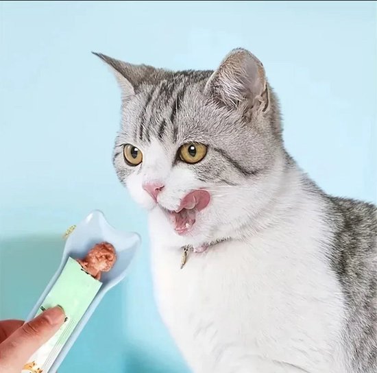 Grijze cyperkat likt zijn mond terwijl hij naar een blauwe lepel met kattenvoer kijkt.
