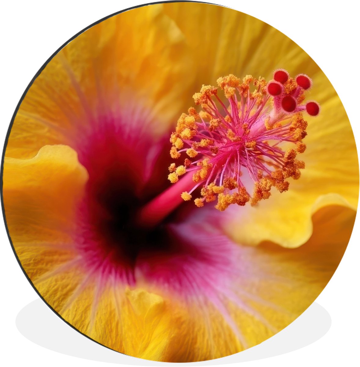 WallCircle Wandcirkel - Muurcirkel - Geel - Hibiscus - Tropisch - Aluminium - Dibond - 30x30 cm - Binnen en Buiten