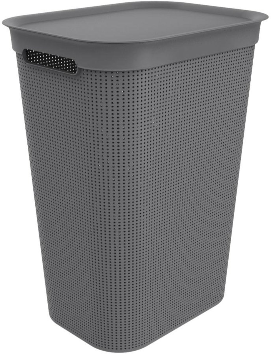 Rotho Brisen - Wasmand met Deksel - 50L - Antraciet