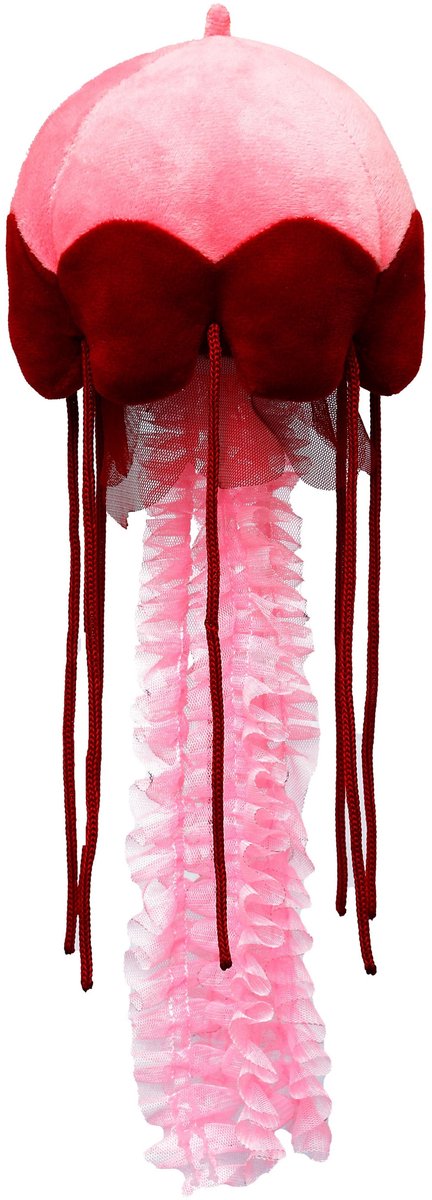 Wild Planet Kwal Knuffel - 50 cm - blauw - oceaan knuffeldier