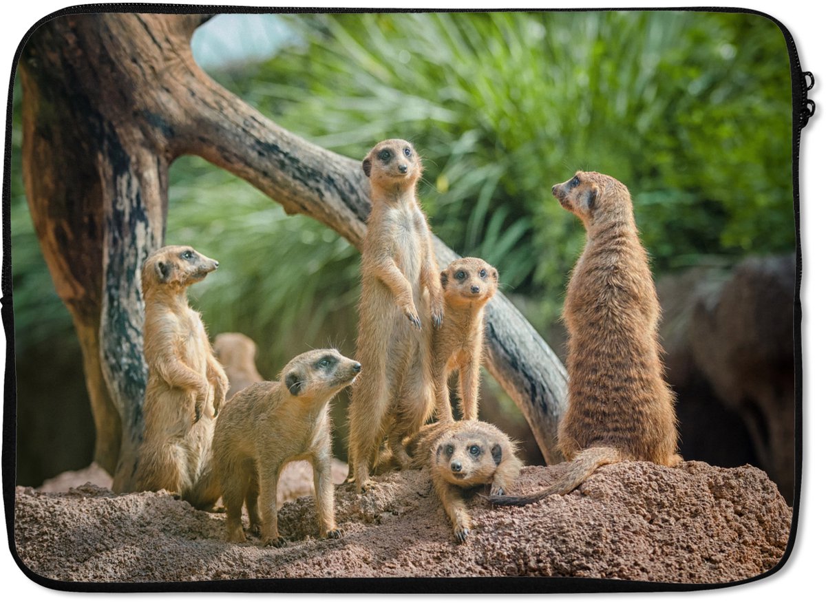 Laptophoes 14 inch - Stokstaartjes - Familie - Dieren - Laptop sleeve - Binnenmaat 33x23 cm - Zwarte achterkant
