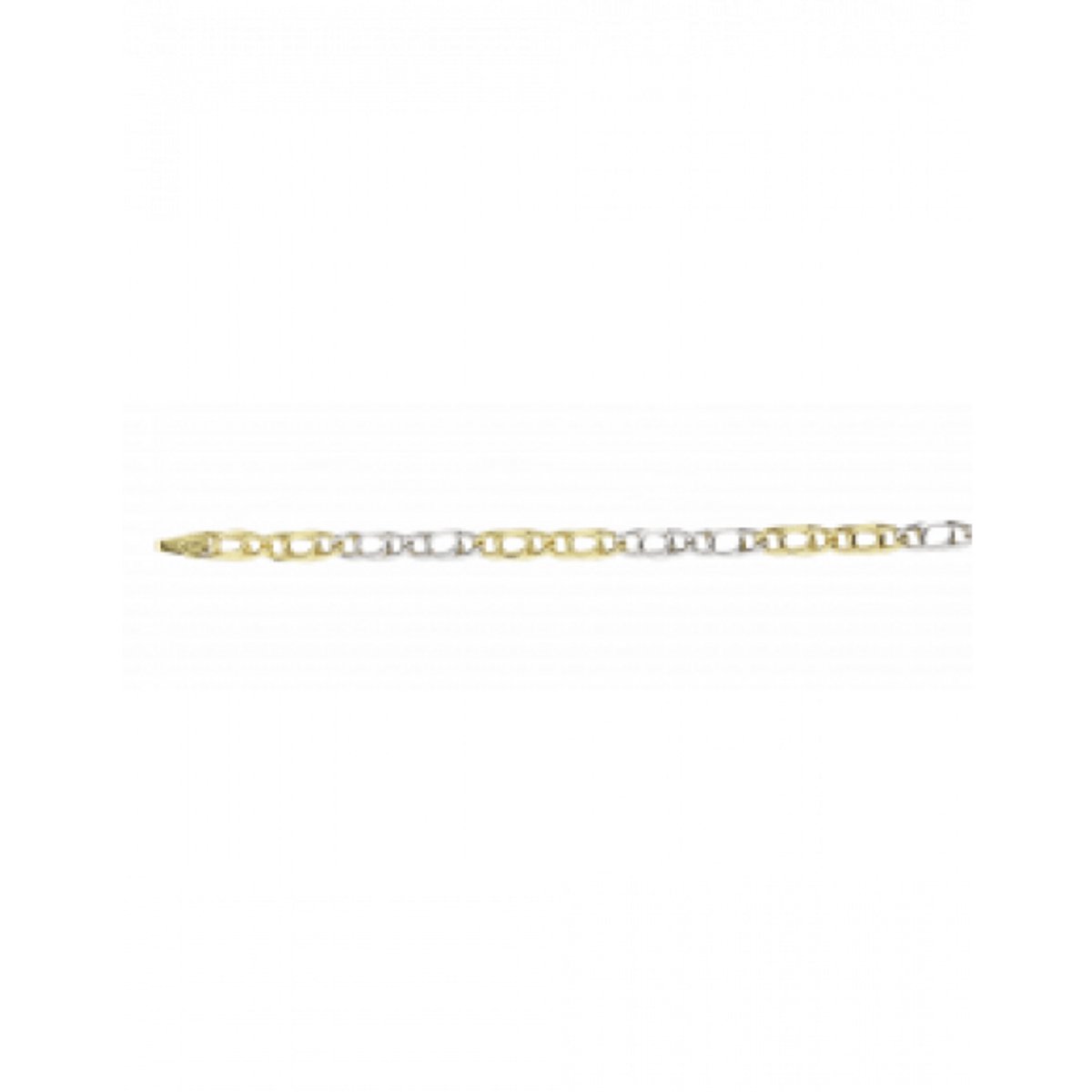 Fjory Ketting 41-V0560 14 Karaat Goud 60