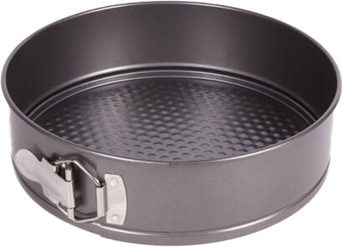 Benson Taarten bakvorm/springvorm - metaal - zilvergrijs - 24 cm - taarten bakken