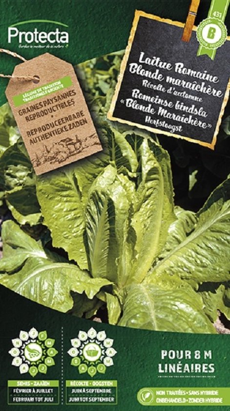 Romeinse bindsla Blonde Maraichère