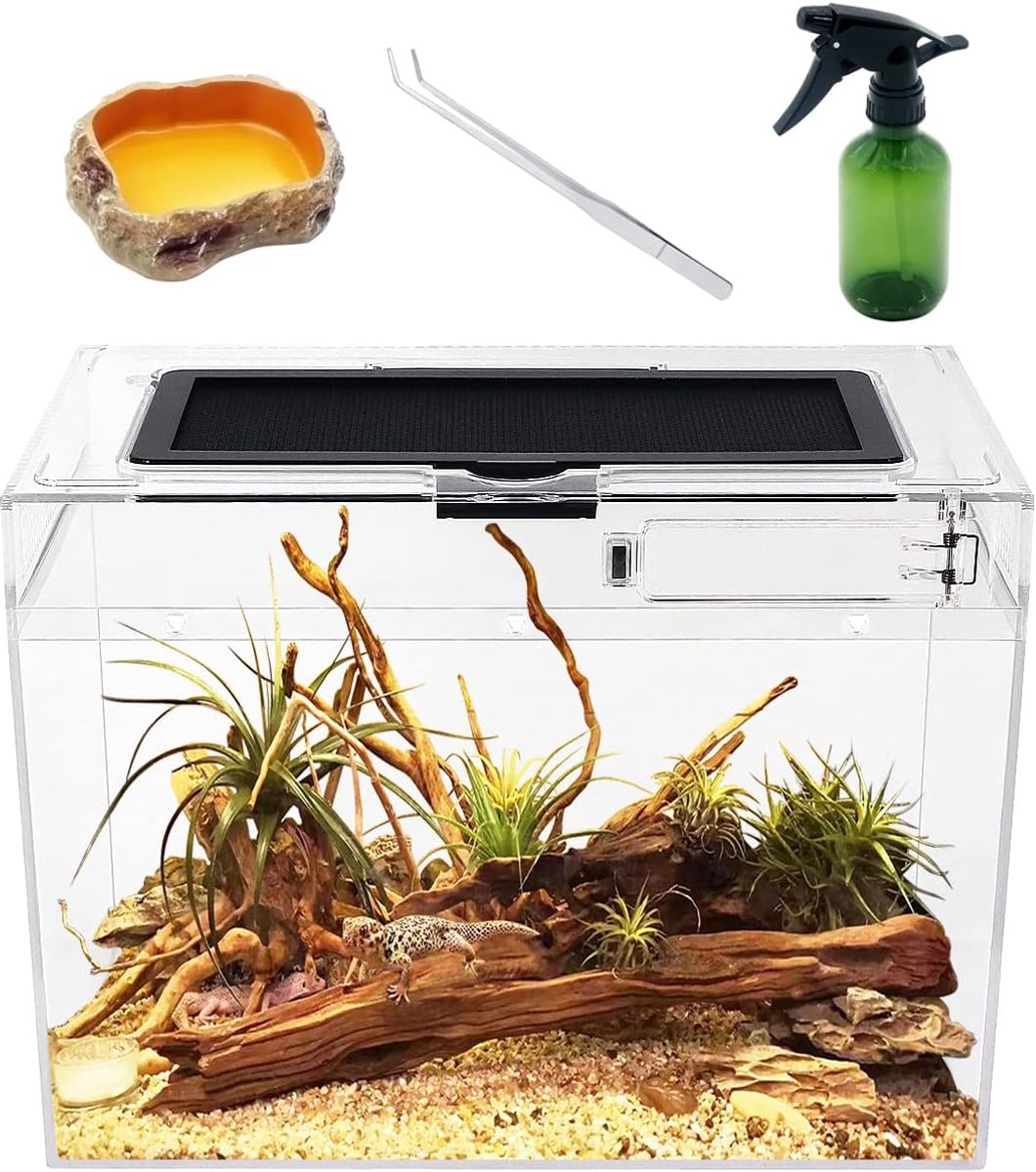 MKSS® Terrarium - Ecosysteem - Reptielenverblijf