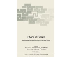 Omslag van Shape in Picture