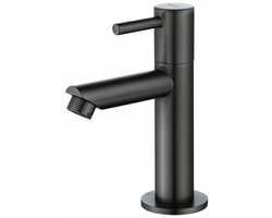 Badkamer & Keuken Kraan - Keukenkranen - Wastafel Kraan - Zwart - RVS - Sluit alleen aan op de koudwaterleiding.