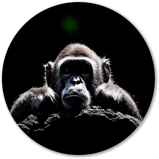 Décoration murale ronde représentant un chimpanzé détaillé dans une lumière contrastée dramatique en noir et blanc.