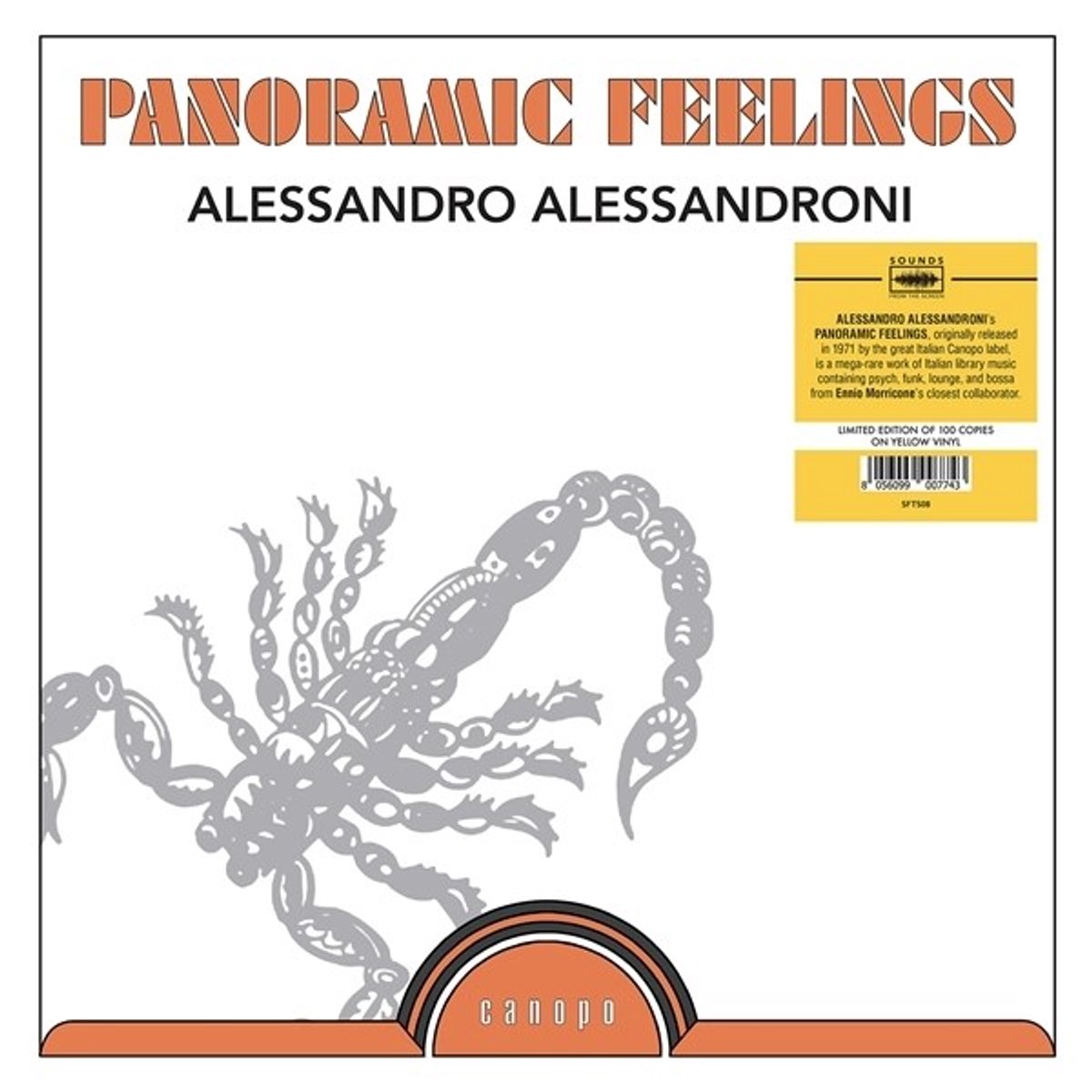 Alessandro Alessandroni - Panoramic Feelings (LP) (Coloured Vinyl)