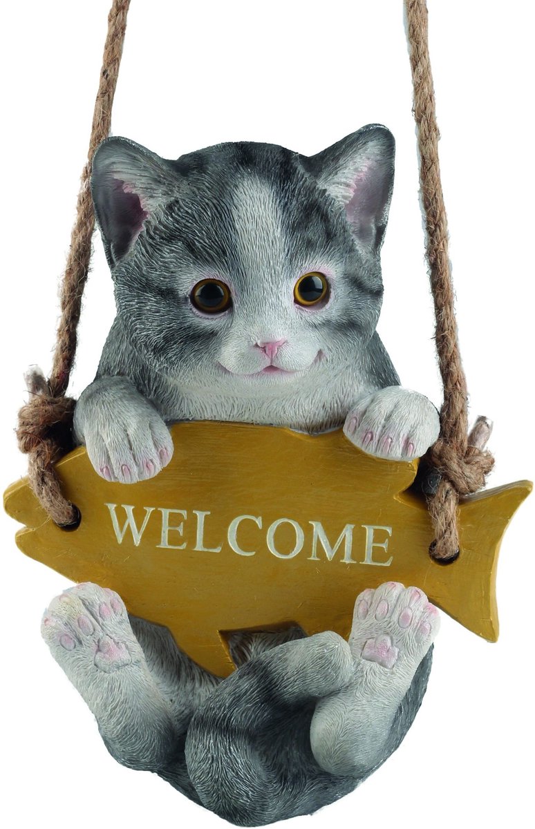 Welkom kat op schommel