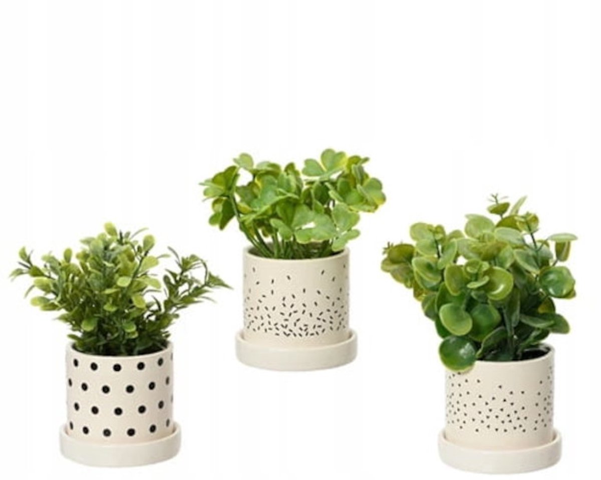 Kaemingk - Kunstplant - Groene Plant in Pot - 16x8 cm - Decoratief