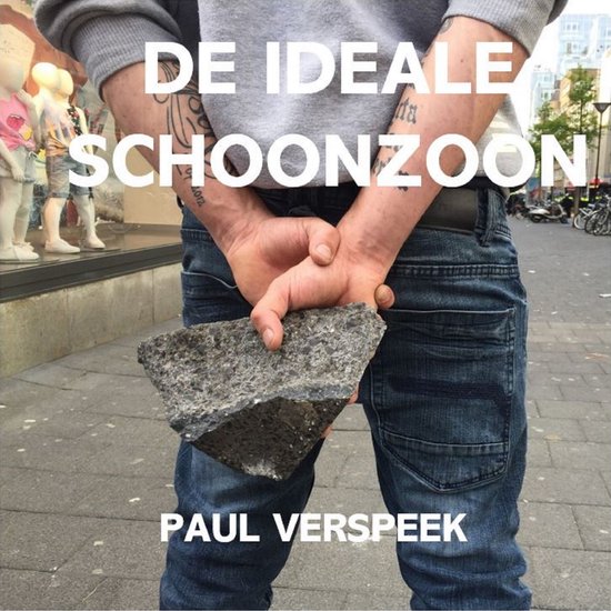 De ideale schoonzoon - cover