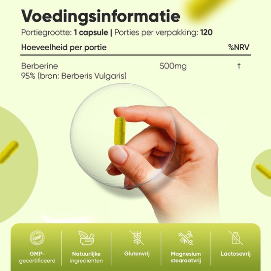 Capsules WeightWorld Berbérine 500 mg - Épine-vinette - 120 capsules pour 4 mois - 95 % HCL Supplément de berbérine