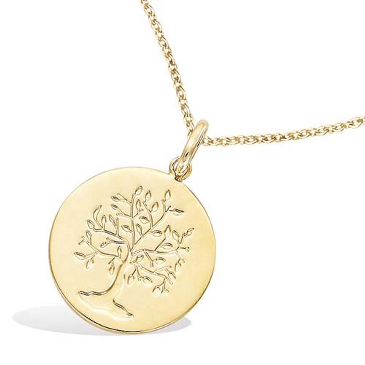 CHIVAL Liora Ketting – 18K Verguld Goud – Ronde Hanger met Levensboom Gravure – Tijdloos & Minimalistisch – Hypoallergene Dames Ketting - Luxe & Elegant - Sieraad - Geschenkverpakking