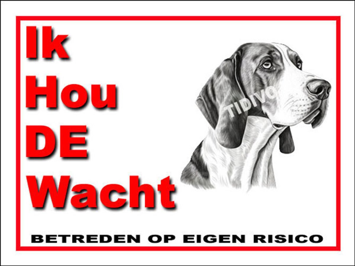 Treeing Walker Coonhound 7