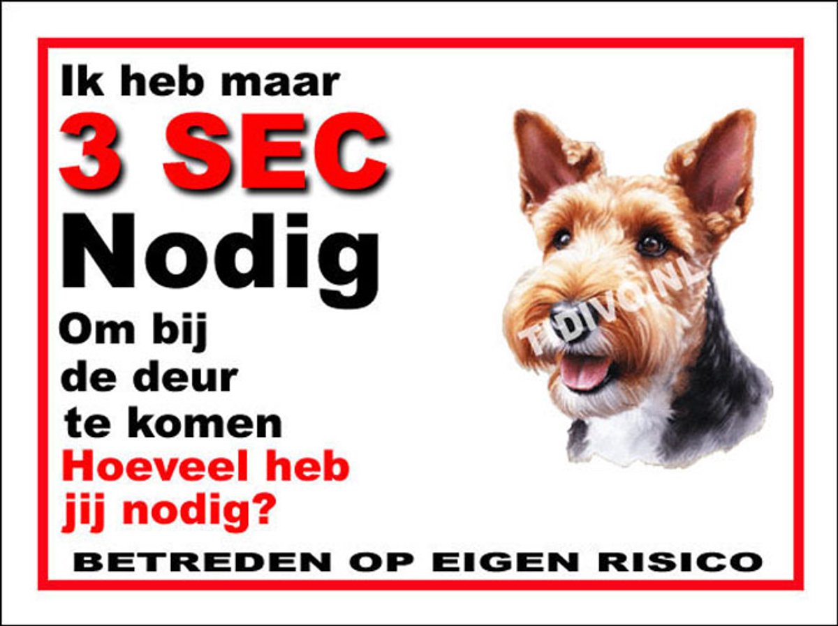 Welsh Terrier 6