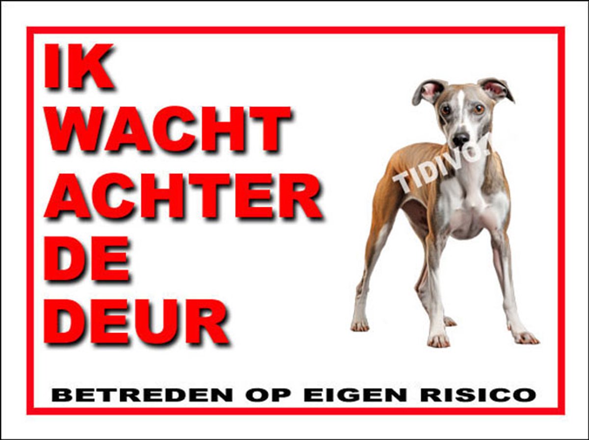 Whippet 10