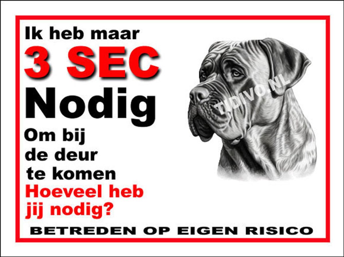 Boerboel 6