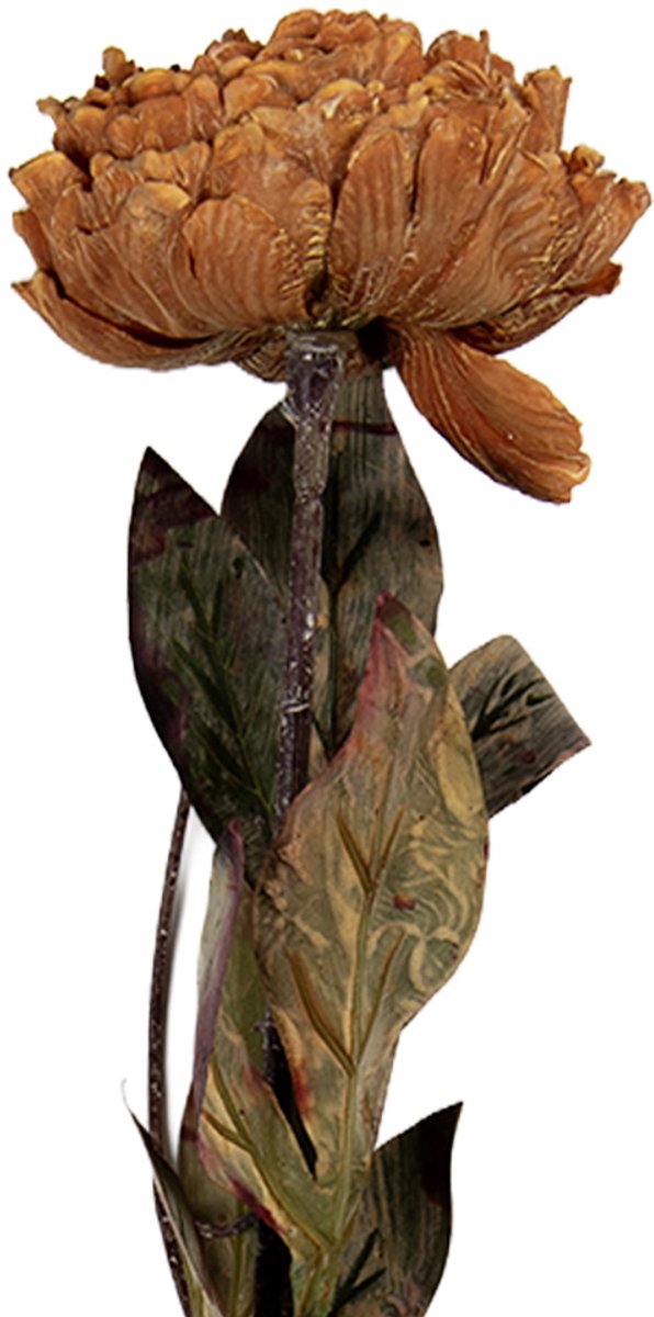 Kunstbloem - Zijden 10x10x65 cm Bruin Kunststof Kunstbloemen